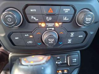 JEEP Renegade usata, con Fendinebbia