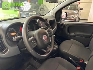 FIAT Panda Cross usata, con Controllo trazione