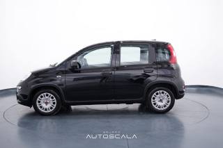FIAT New Panda usata, con Airbag Passeggero