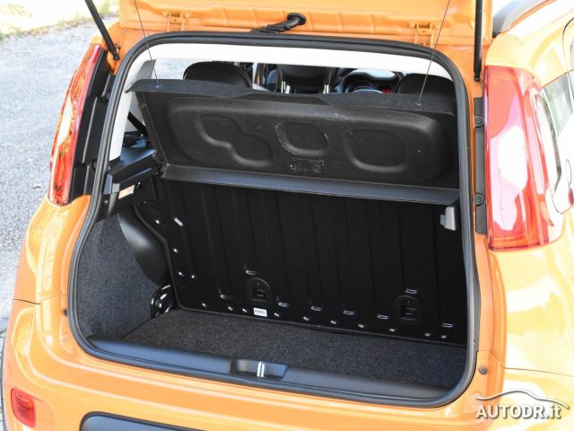 FIAT Panda usata 37