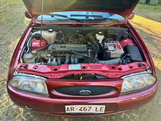 FORD Fiesta usata 28