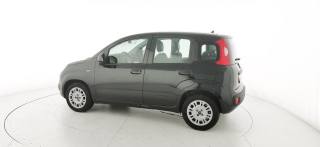 FIAT Panda usata, con Airbag testa