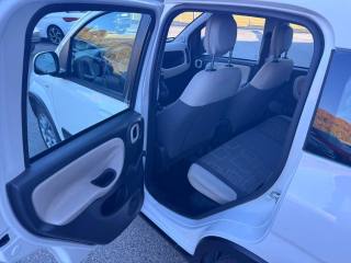 FIAT Panda usata, con Trazione integrale
