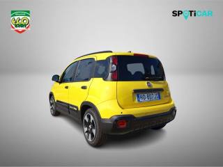 FIAT Pandina usata, con Climatizzatore