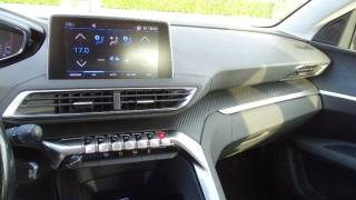 PEUGEOT 3008 usata 101