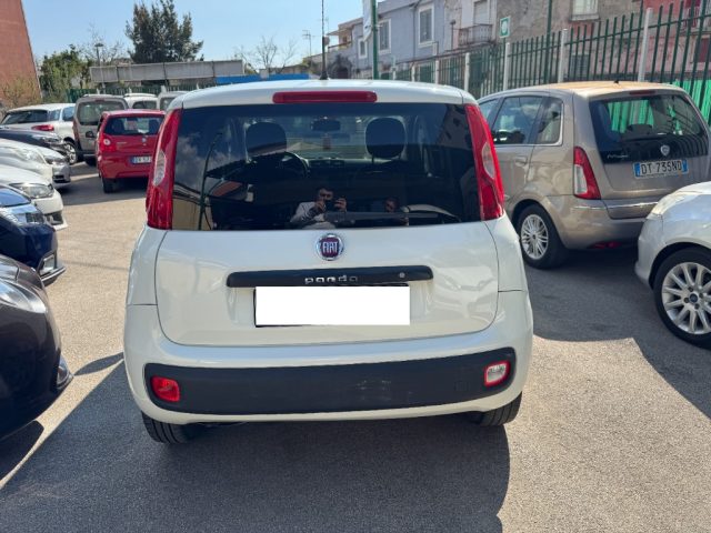 FIAT Panda usata 6