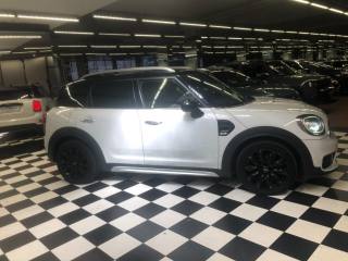 MINI Countryman usata, con Climatizzatore