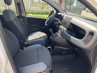 FIAT Panda usata, con Servosterzo