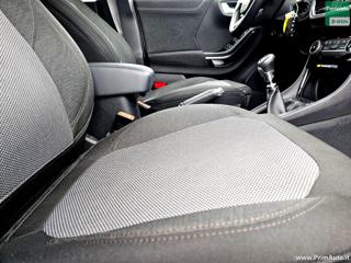 FORD Puma usata, con Fendinebbia