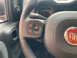 FIAT Panda Cross usata, con Chiusura centralizzata