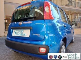 FIAT Panda usata, con Climatizzatore
