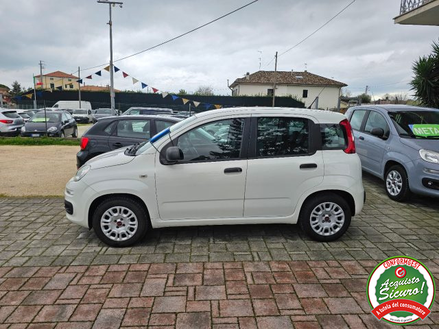 FIAT Panda usata, con Airbag