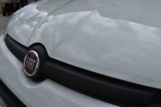 FIAT Panda usata, con Servosterzo
