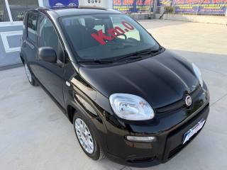 FIAT Panda usata, con Airbag Passeggero
