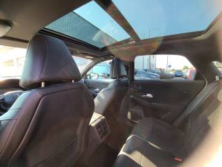 DS AUTOMOBILES DS 7 Crossback usata, con Vetri oscurati