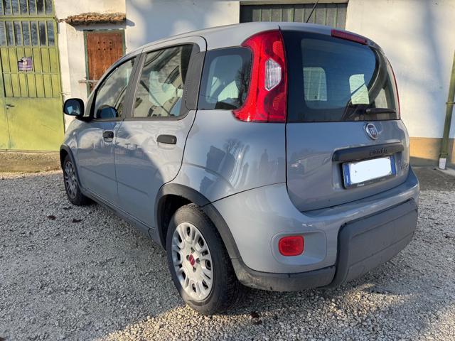 FIAT Panda usata, con Antifurto