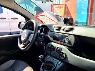 FIAT Panda usata 14