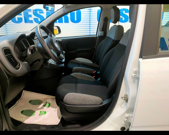 FIAT New Panda usata 14