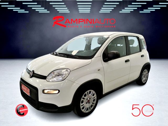 FIAT Panda usata 0