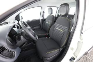 FIAT Panda usata 2