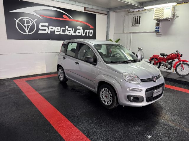 FIAT Panda usata 1