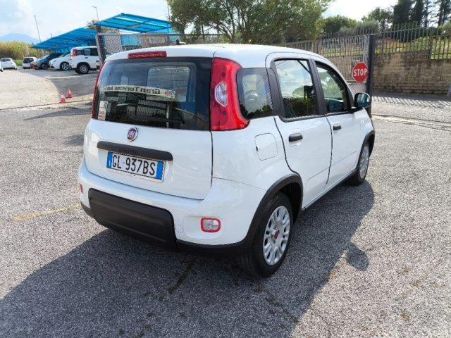 FIAT Panda usata 4