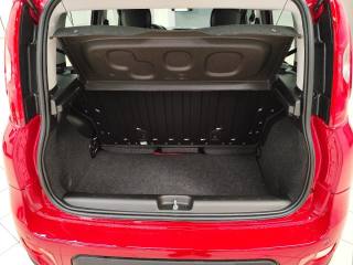 FIAT Panda usata, con Airbag testa