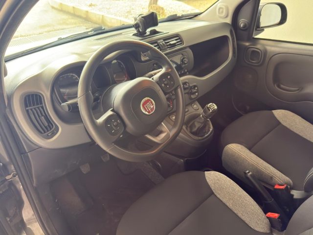 FIAT Panda usata 14