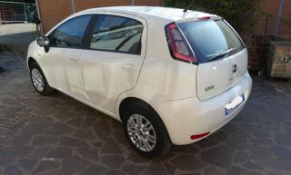 FIAT Punto usata, con Airbag Passeggero