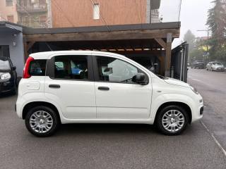 FIAT Panda usata, con Airbag Passeggero