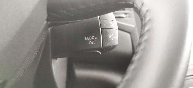 RENAULT Megane usata, con Sistema di chiamata d
