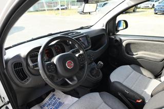 FIAT Panda usata, con Fendinebbia