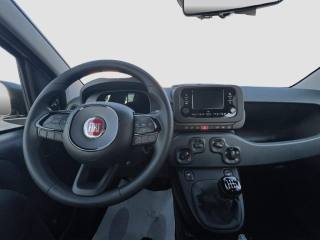 FIAT Panda usata 7