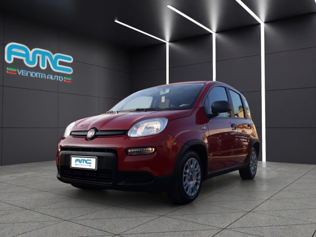 FIAT Panda usata, con Airbag