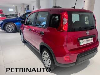 FIAT Panda usata, con Climatizzatore