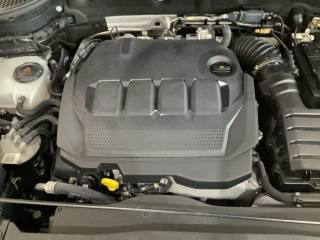 SKODA Karoq usata, con Frenata d