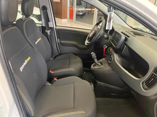 FIAT Panda usata, con Controllo trazione