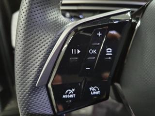 PEUGEOT 3008 usata, con Vetri oscurati