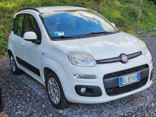 FIAT Panda usata, con Servosterzo