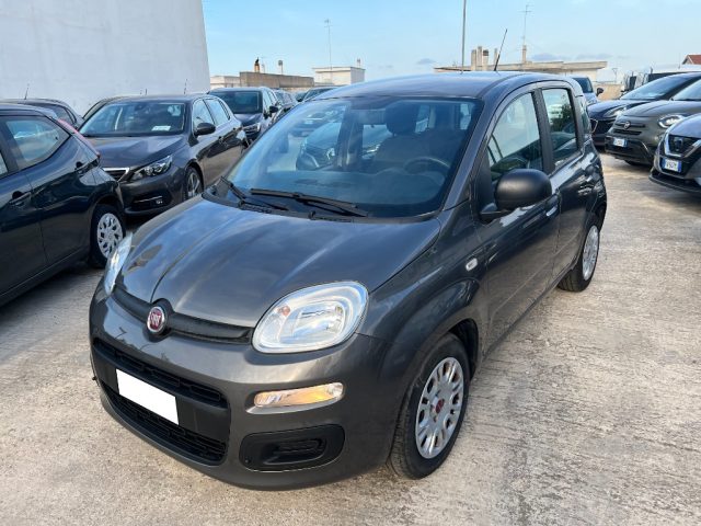 FIAT Panda usata 0