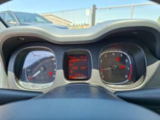 FIAT Panda usata 11