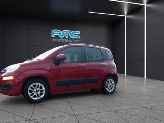FIAT Panda usata, con Airbag Passeggero