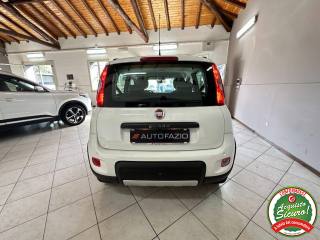 FIAT Panda usata, con Fendinebbia