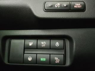 NISSAN Leaf usata, con Immobilizzatore elettronico