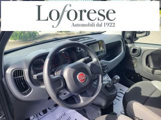 FIAT Panda usata, con Chiusura centralizzata