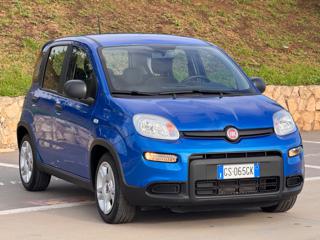 FIAT Panda usata, con Airbag Passeggero