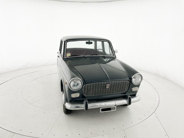 FIAT 1100 usata 19