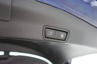 ALFA ROMEO Stelvio usata, con Airbag testa