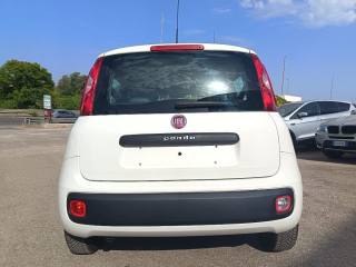FIAT Panda usata 7