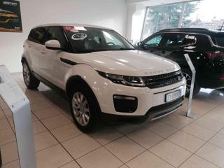 LAND ROVER Range Rover Evoque usata 36